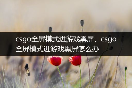 csgo全屏模式进游戏黑屏，csgo全屏模式进游戏黑屏怎么办