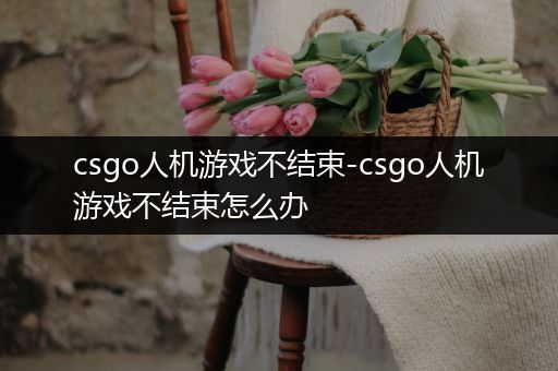 csgo人机游戏不结束-csgo人机游戏不结束怎么办