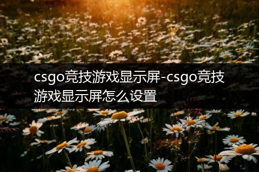 csgo竞技游戏显示屏-csgo竞技游戏显示屏怎么设置