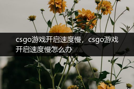 csgo游戏开启速度慢，csgo游戏开启速度慢怎么办