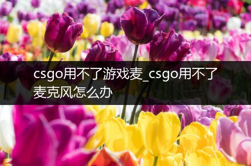 csgo用不了游戏麦_csgo用不了麦克风怎么办