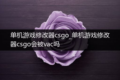 单机游戏修改器csgo_单机游戏修改器csgo会被vac吗