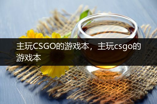 主玩CSGO的游戏本，主玩csgo的游戏本