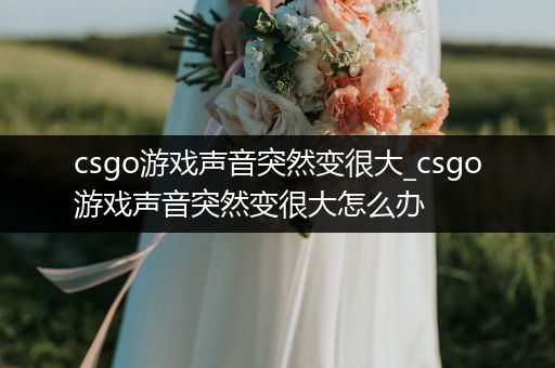 csgo游戏声音突然变很大_csgo游戏声音突然变很大怎么办