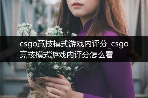 csgo竞技模式游戏内评分_csgo竞技模式游戏内评分怎么看