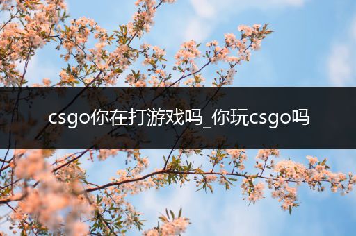 csgo你在打游戏吗_你玩csgo吗