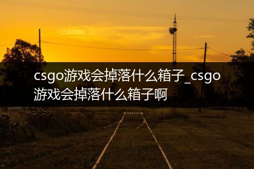 csgo游戏会掉落什么箱子_csgo游戏会掉落什么箱子啊