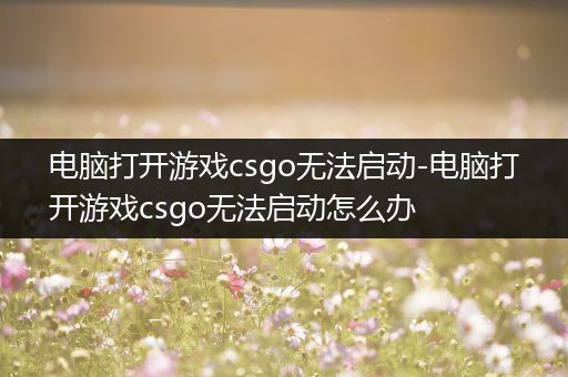 电脑打开游戏csgo无法启动-电脑打开游戏csgo无法启动怎么办