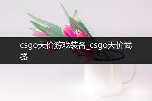 csgo天价游戏装备_csgo天价武器