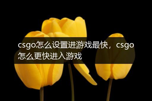 csgo怎么设置进游戏最快，csgo怎么更快进入游戏