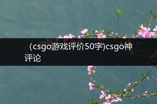 （csgo游戏评价50字)csgo神评论
