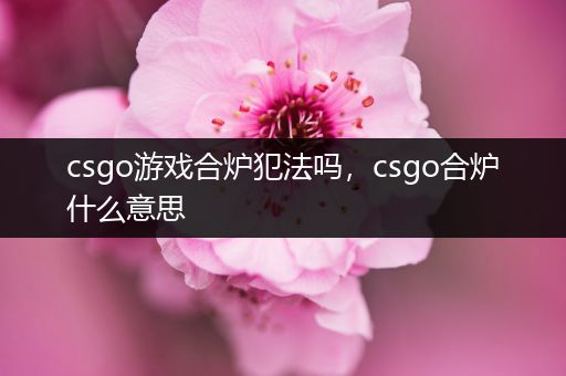 csgo游戏合炉犯法吗，csgo合炉什么意思