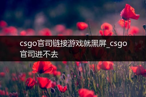 csgo官司链接游戏就黑屏_csgo官司进不去