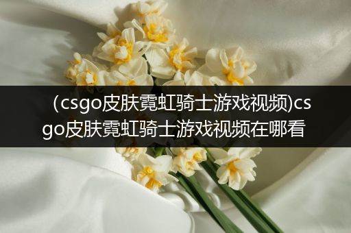 （csgo皮肤霓虹骑士游戏视频)csgo皮肤霓虹骑士游戏视频在哪看