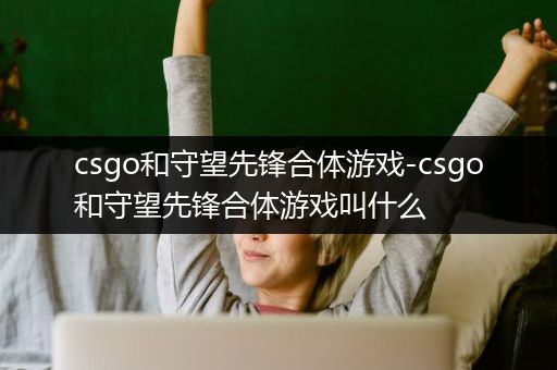 csgo和守望先锋合体游戏-csgo和守望先锋合体游戏叫什么