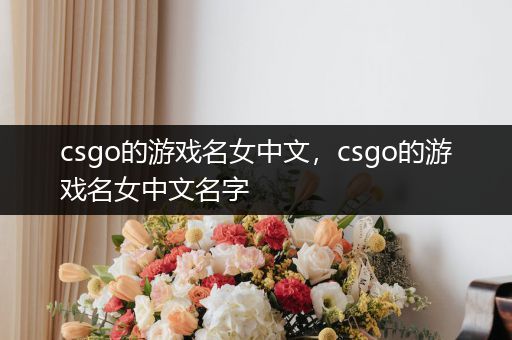 csgo的游戏名女中文，csgo的游戏名女中文名字