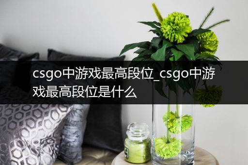csgo中游戏最高段位_csgo中游戏最高段位是什么