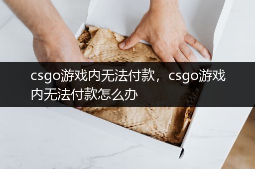csgo游戏内无法付款，csgo游戏内无法付款怎么办