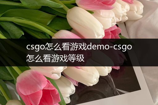 csgo怎么看游戏demo-csgo怎么看游戏等级