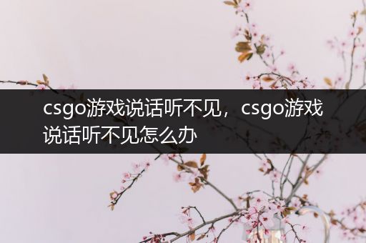 csgo游戏说话听不见，csgo游戏说话听不见怎么办