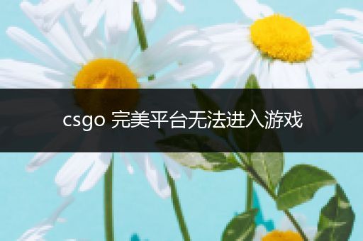 csgo 完美平台无法进入游戏