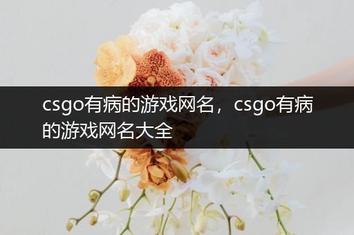 csgo有病的游戏网名，csgo有病的游戏网名大全