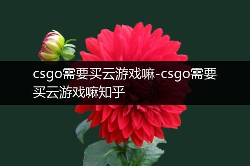 csgo需要买云游戏嘛-csgo需要买云游戏嘛知乎