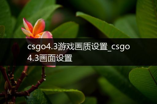 csgo4.3游戏画质设置_csgo4.3画面设置
