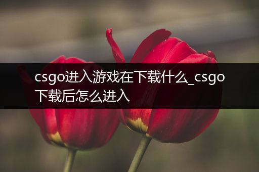 csgo进入游戏在下载什么_csgo下载后怎么进入