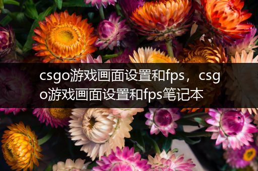 csgo游戏画面设置和fps，csgo游戏画面设置和fps笔记本