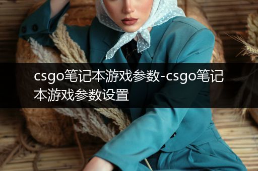 csgo笔记本游戏参数-csgo笔记本游戏参数设置