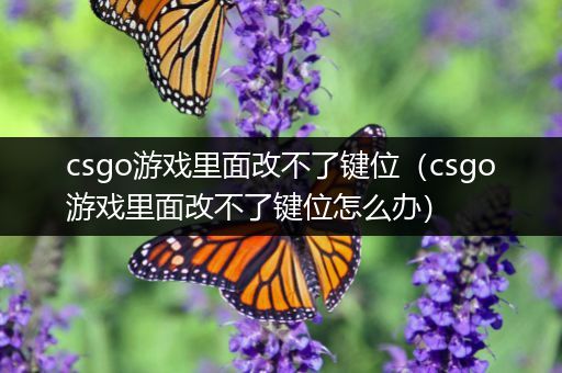 csgo游戏里面改不了键位（csgo游戏里面改不了键位怎么办）