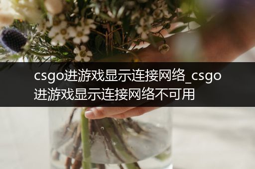 csgo进游戏显示连接网络_csgo进游戏显示连接网络不可用