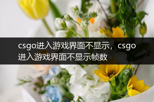 csgo进入游戏界面不显示，csgo进入游戏界面不显示帧数