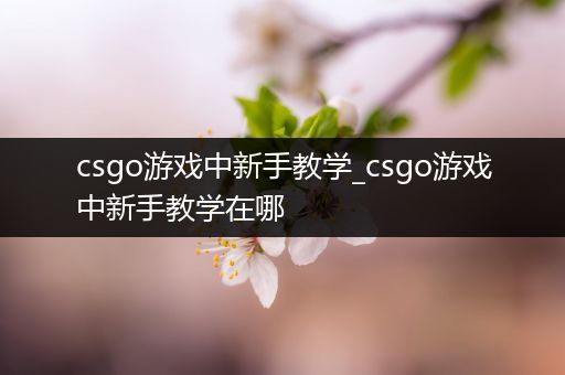 csgo游戏中新手教学_csgo游戏中新手教学在哪