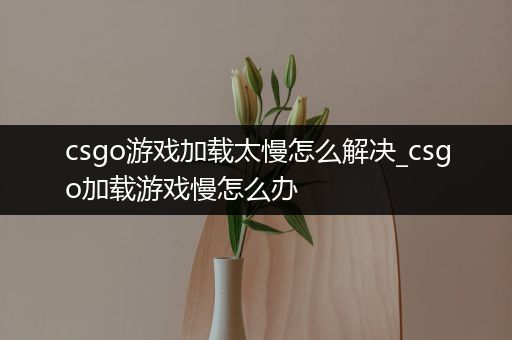 csgo游戏加载太慢怎么解决_csgo加载游戏慢怎么办