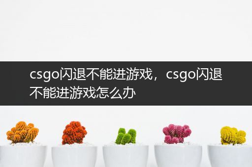 csgo闪退不能进游戏，csgo闪退不能进游戏怎么办