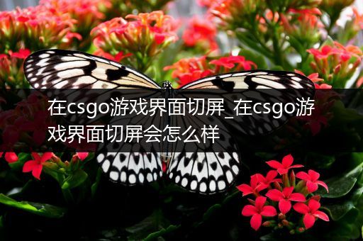在csgo游戏界面切屏_在csgo游戏界面切屏会怎么样