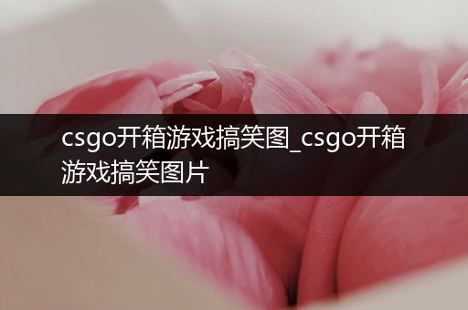 csgo开箱游戏搞笑图_csgo开箱游戏搞笑图片