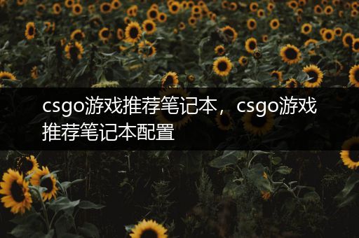 csgo游戏推荐笔记本，csgo游戏推荐笔记本配置