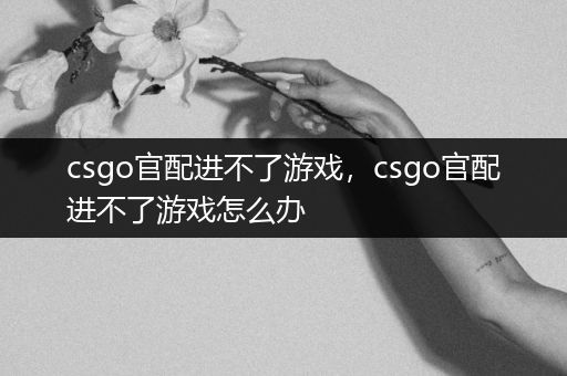 csgo官配进不了游戏，csgo官配进不了游戏怎么办