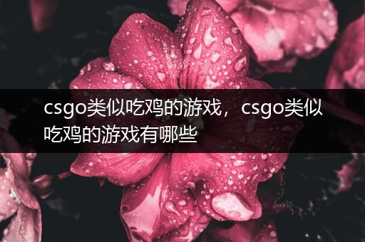 csgo类似吃鸡的游戏，csgo类似吃鸡的游戏有哪些