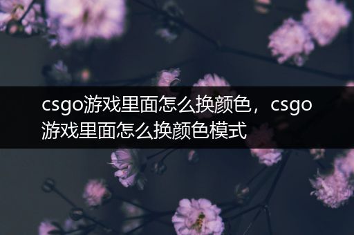 csgo游戏里面怎么换颜色，csgo游戏里面怎么换颜色模式