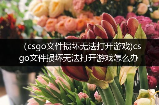 （csgo文件损坏无法打开游戏)csgo文件损坏无法打开游戏怎么办