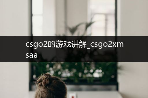 csgo2的游戏讲解_csgo2xmsaa