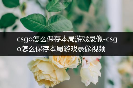 csgo怎么保存本局游戏录像-csgo怎么保存本局游戏录像视频
