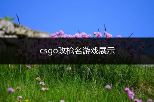 csgo改枪名游戏展示