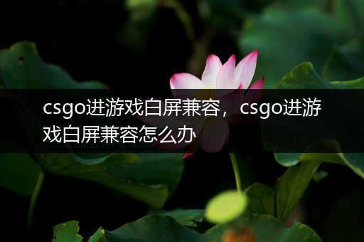 csgo进游戏白屏兼容，csgo进游戏白屏兼容怎么办
