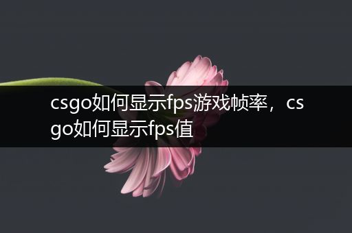 csgo如何显示fps游戏帧率，csgo如何显示fps值