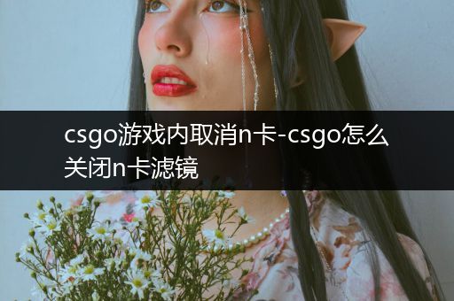 csgo游戏内取消n卡-csgo怎么关闭n卡滤镜